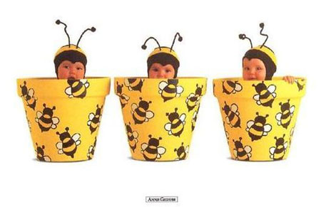 Bumblebee Pots