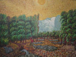 ���� ���