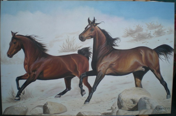 ����� ��� -�����