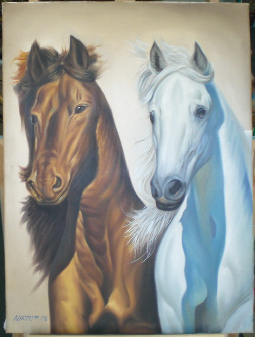 ����� ��� -�����