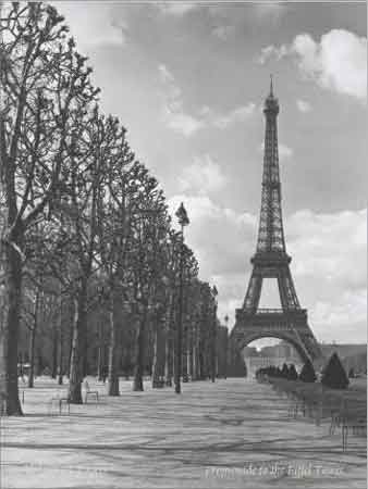View Of Paris