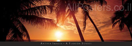 A Florida sunset