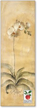 White Orchid Panel